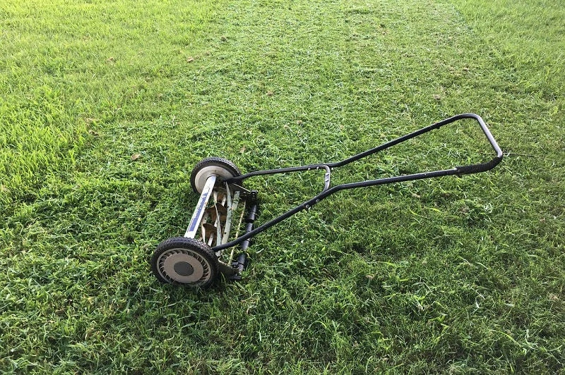 image of Landscaping Services